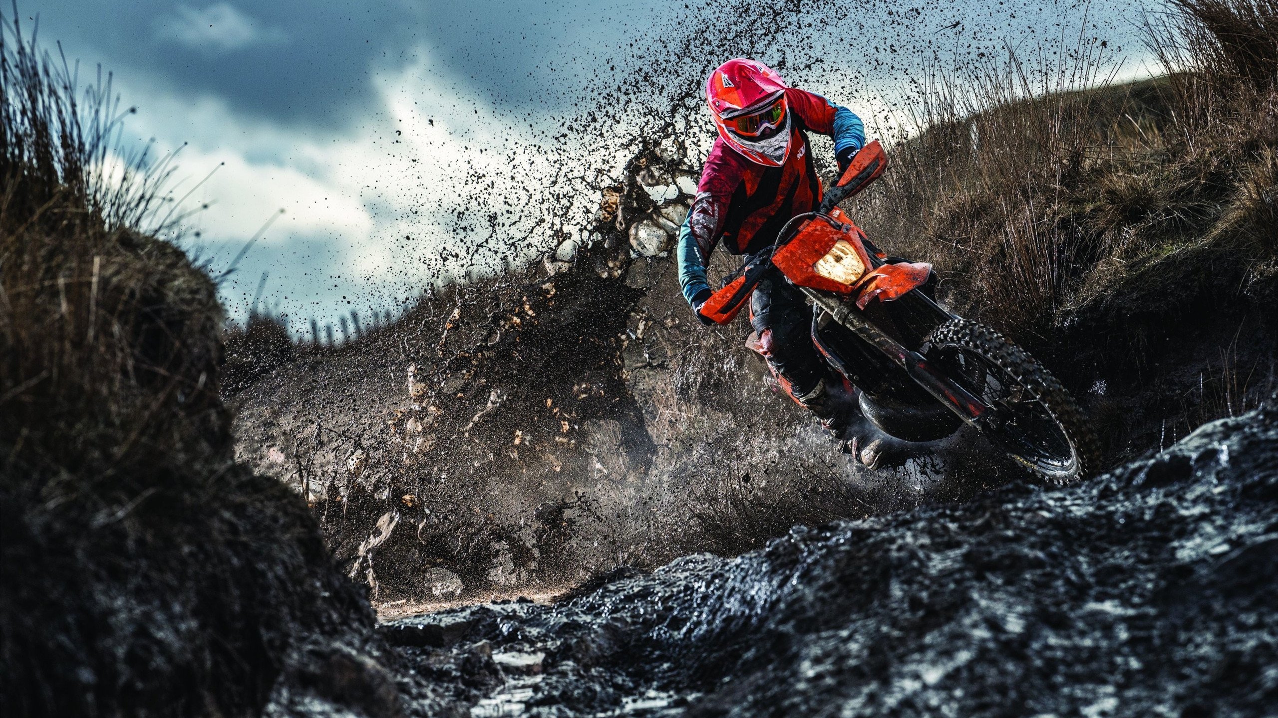 体操赛事展示高难度动作